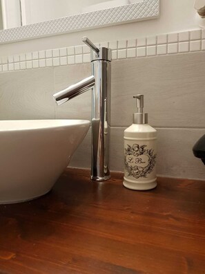 Regadera, secadora de cabello, bidet, toallas