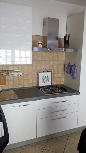 Fridge, oven, stovetop, dishwasher - Alghero city center apartment (Alghero)