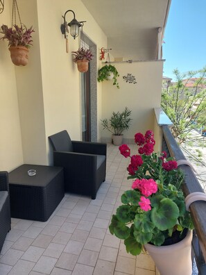 Terraza o patio