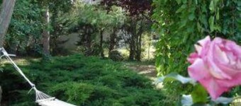 Stort hus med hage (3000m2) og helt privat sikkert svømmebasseng