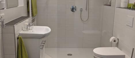 Shower, hair dryer, soap, toilet paper