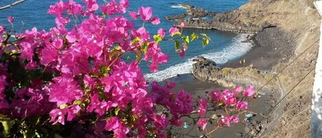 Chaises longues, serviettes de plage