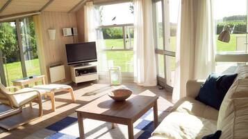 Smart TV, fireplace, DVD player, books