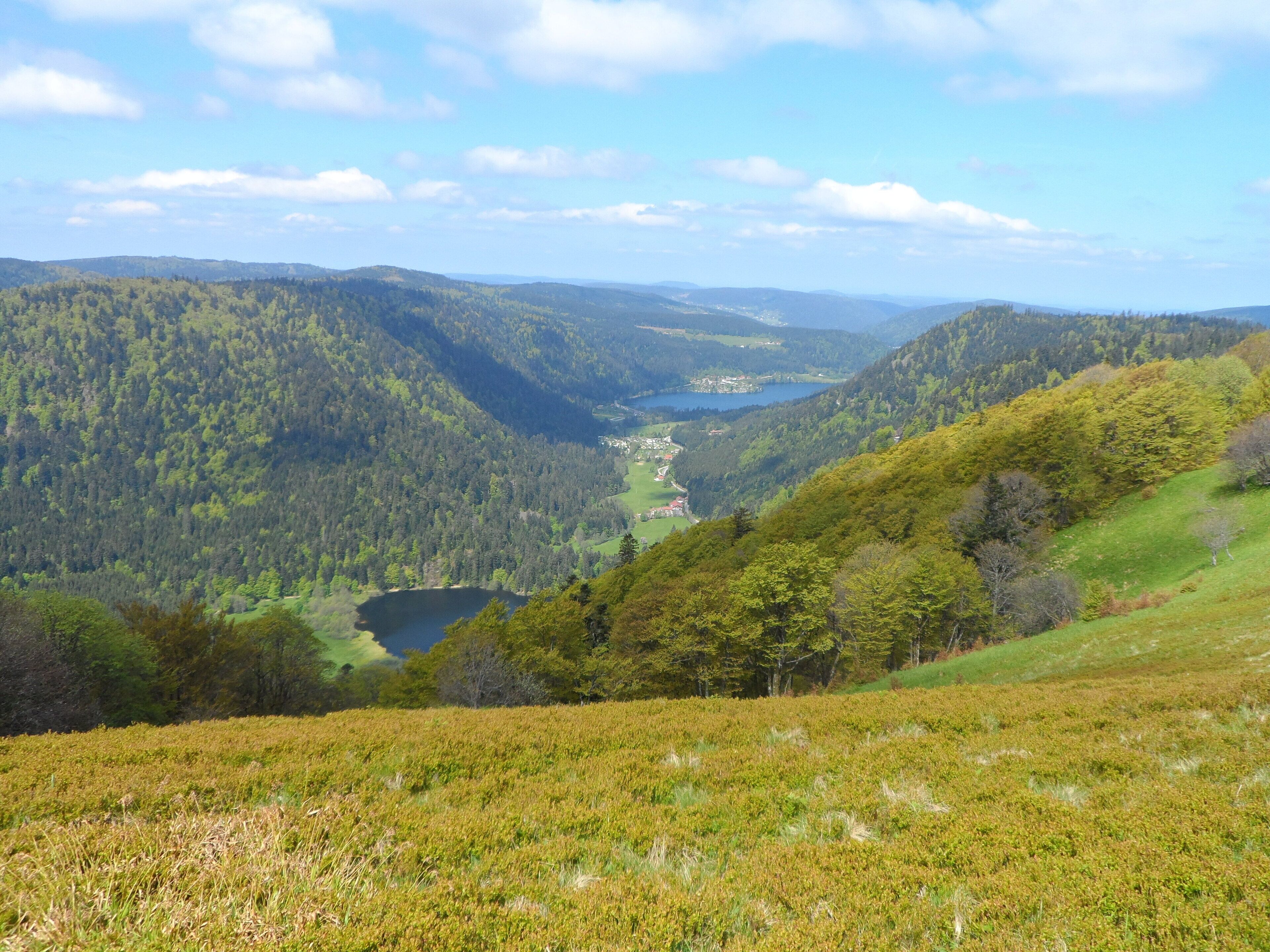 Et panorama over en dal med en sø, omgivet af skovklædte bakker.
