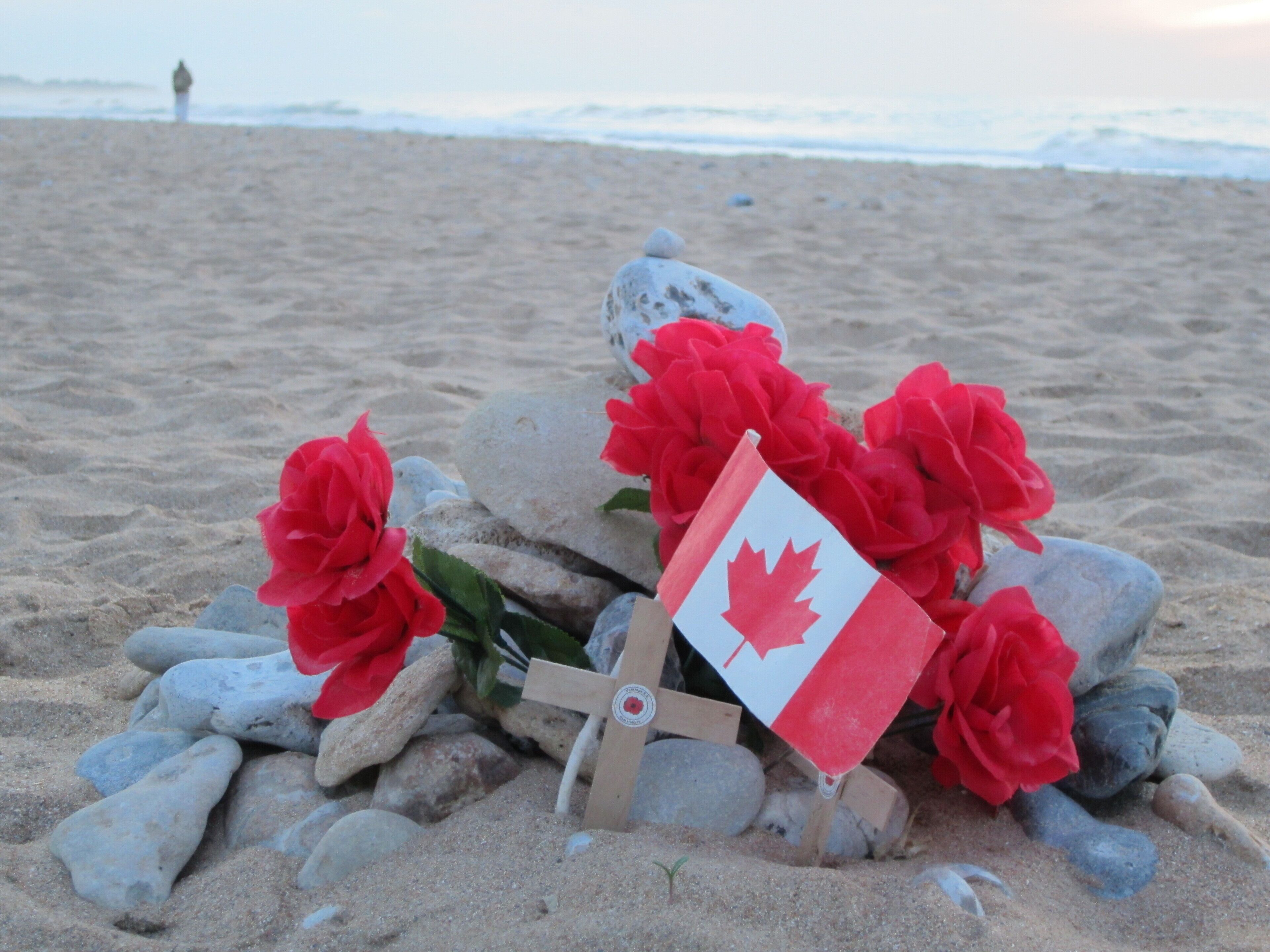 A beach scene with a pile of rocks and red flowers, a Canadian flag, and a distant person on the shore.