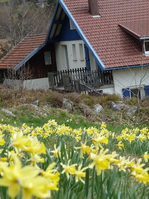 Boendeområde