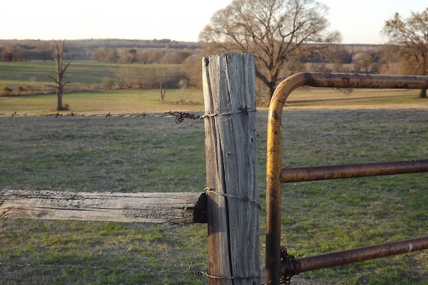 Welcome to the country