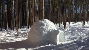 Un bonhomme de neige dans une forêt enneigée, entouré de grands arbres.