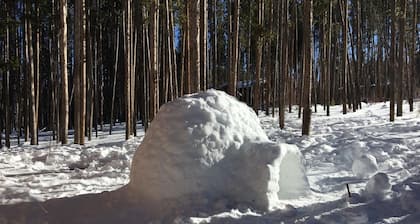 'Snow Dream'- el Retiro de Ultimate Familia