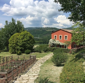 Property grounds - Umbria - A country residence  6 Bedrooms w Ensuite Bathrooms (Todi)