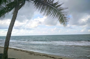 Beach nearby - Walk to Beach, Golf, Pool in Beautiful Dorado Beach (Dorado)