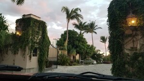 Un'area recintata con palme, un vialetto lastricato e un edificio parzialmente ricoperto d'edera.