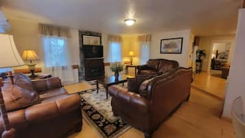 Televisión, chimenea, reproductor de DVD y libros