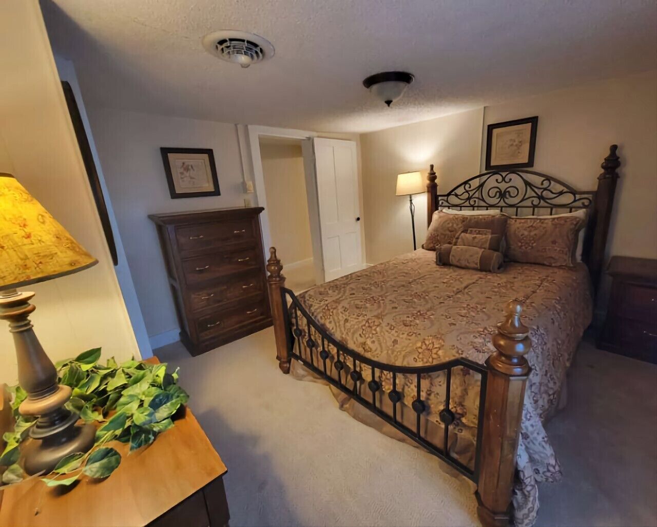 A bedroom with a bed, a dresser, a lamp, and a plant.