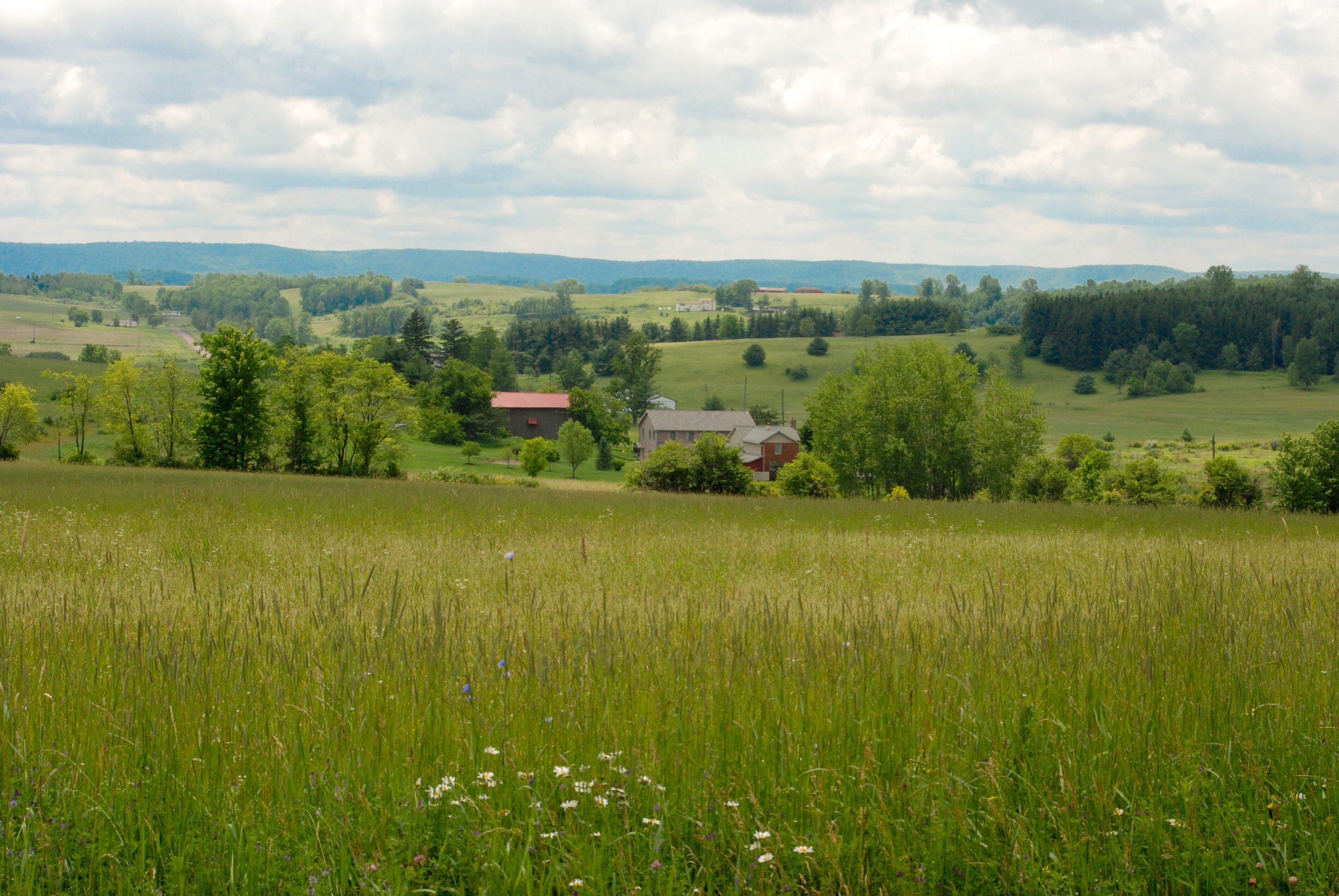 Un paysage rural avec une maison entourée de champs et d’arbres.