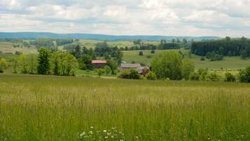 Un paysage rural avec une maison entourée de champs et d’arbres.