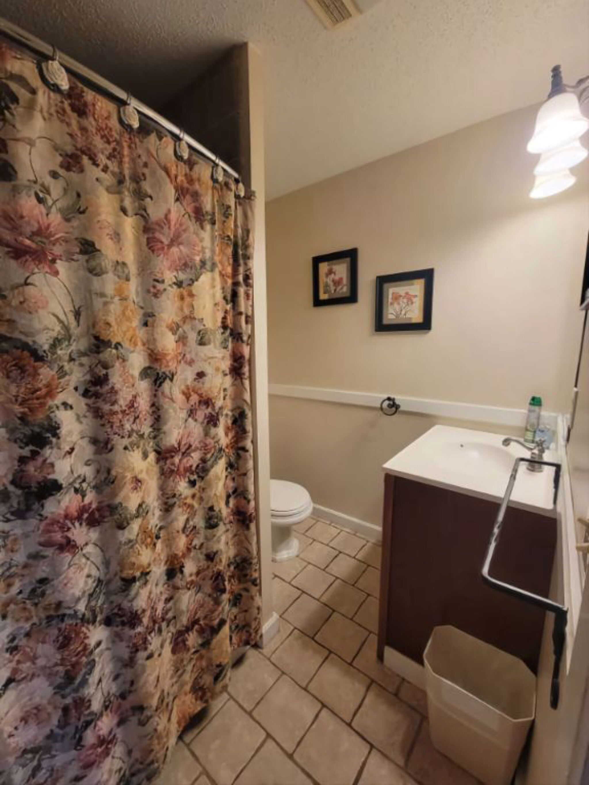 Een badkamer met een gordijn met bloemenprint, een toilet, een wastafel met spiegel en twee ingelijste foto's aan de muur.
