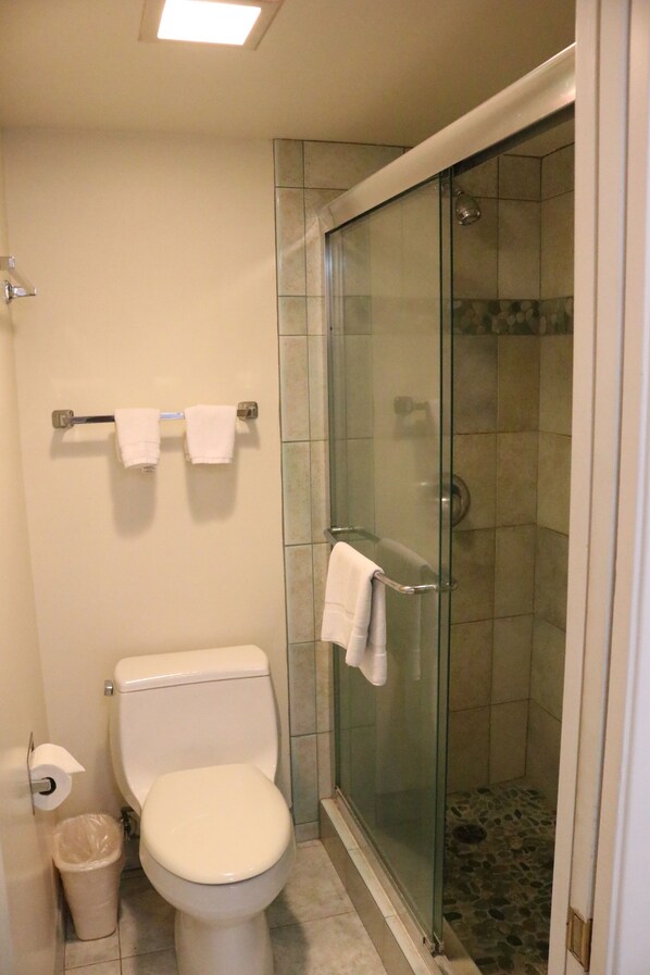 Un baño con inodoro, ducha con mampara de vidrio y toallero con dos toallas.