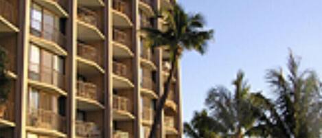Un hôtel de grande hauteur doté de nombreux balcons, de palmiers et offrant une vue dégagée sur l’océan.