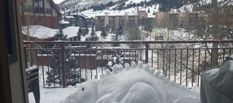 Ski inn / ski ut Out Bee Lift