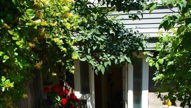 Un chemin de pierres mène à un bâtiment doté d’une entrée couverte, le tout étant entouré de verdure et de plantes en pot.