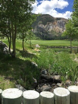 A natural landscape with a grassy field, trees, and a rocky mountain in the background.