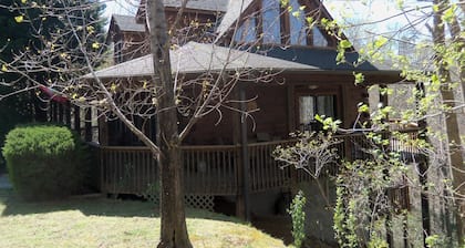 Private Cabin with Views, Fenced Yard, Gameroom, Gas Fireplace, Central Location