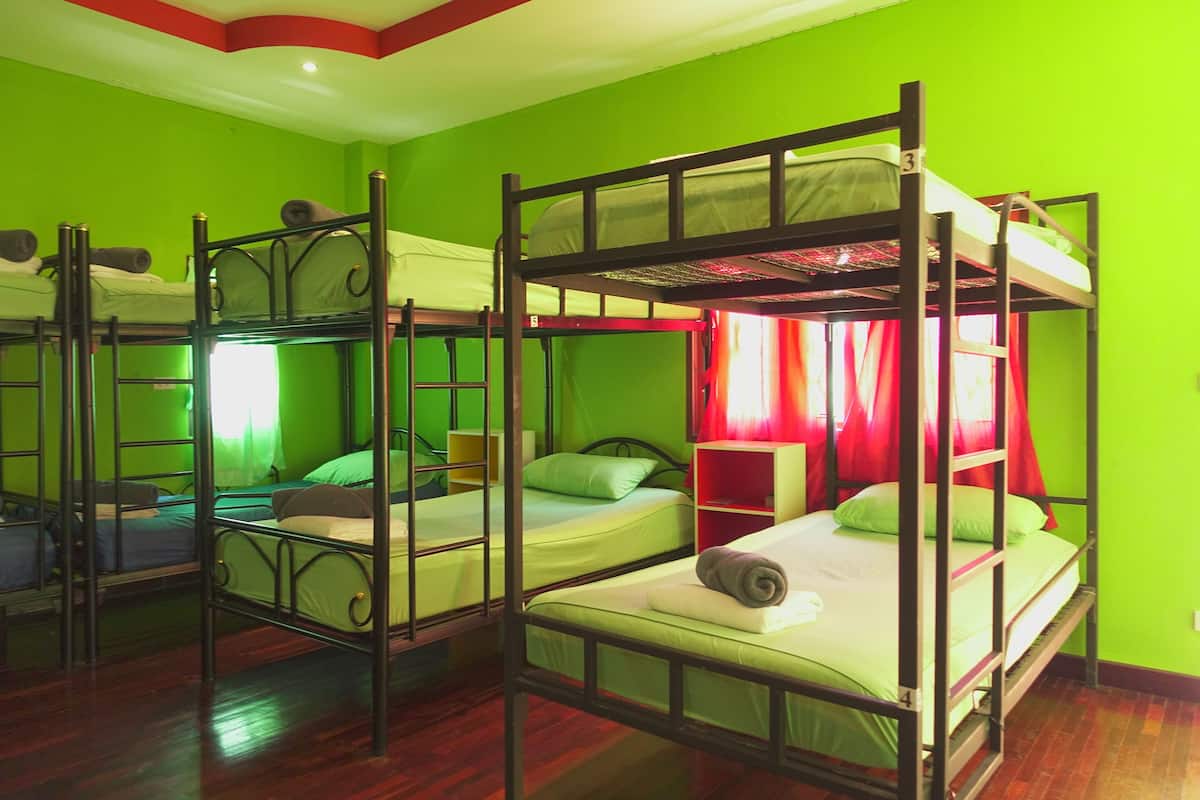 Basic Shared Dormitory, Mixed Dorm, Non Smoking | 6 bedrooms, WiFi (free)