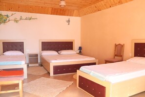 Economy Single Room - Rooms Merlika (Krujë)