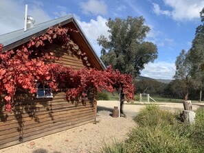 Property grounds - Relax in a beautiful private peaceful setting 5 minute drive from Beechworth (Wooragee)