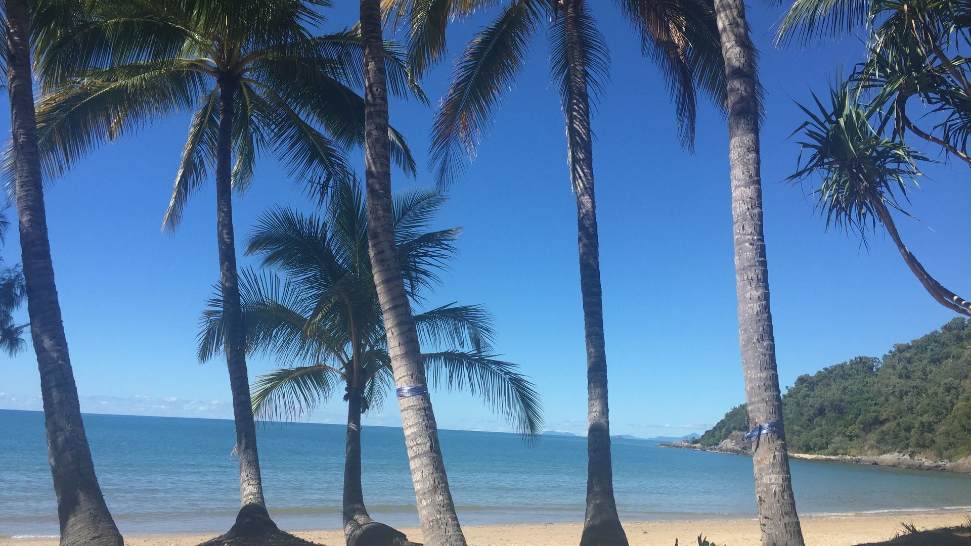 Right On the Beach   — image 20