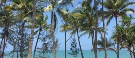 On the beach, sun loungers, beach towels