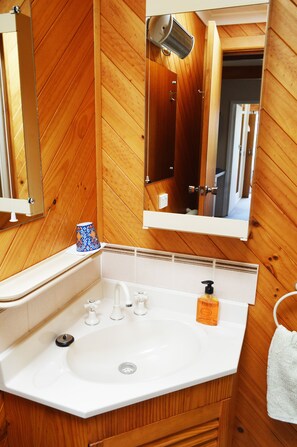 Chuveiro, secador de cabelo, toalhas de banho, sabonete