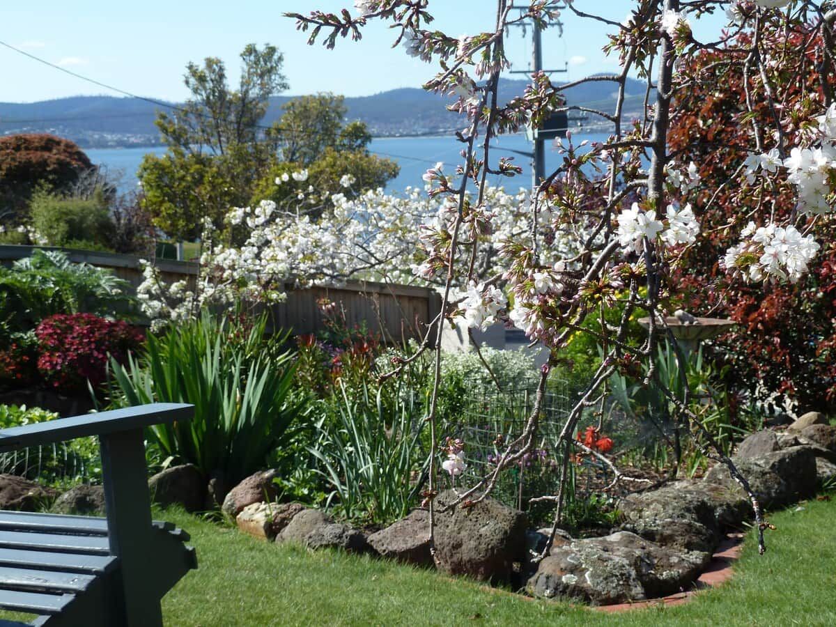 A garden with a bench, flowering plants, and a view of a body of water and hills.