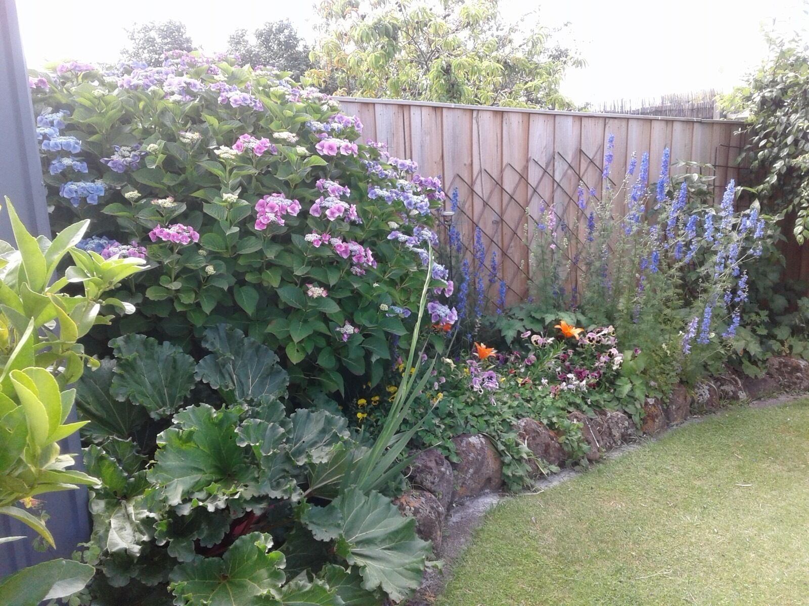 Cosy garden apartment in Sandy Bay. 15 min 401/402 town bus.  FREE Parking/WIFI. — image 26