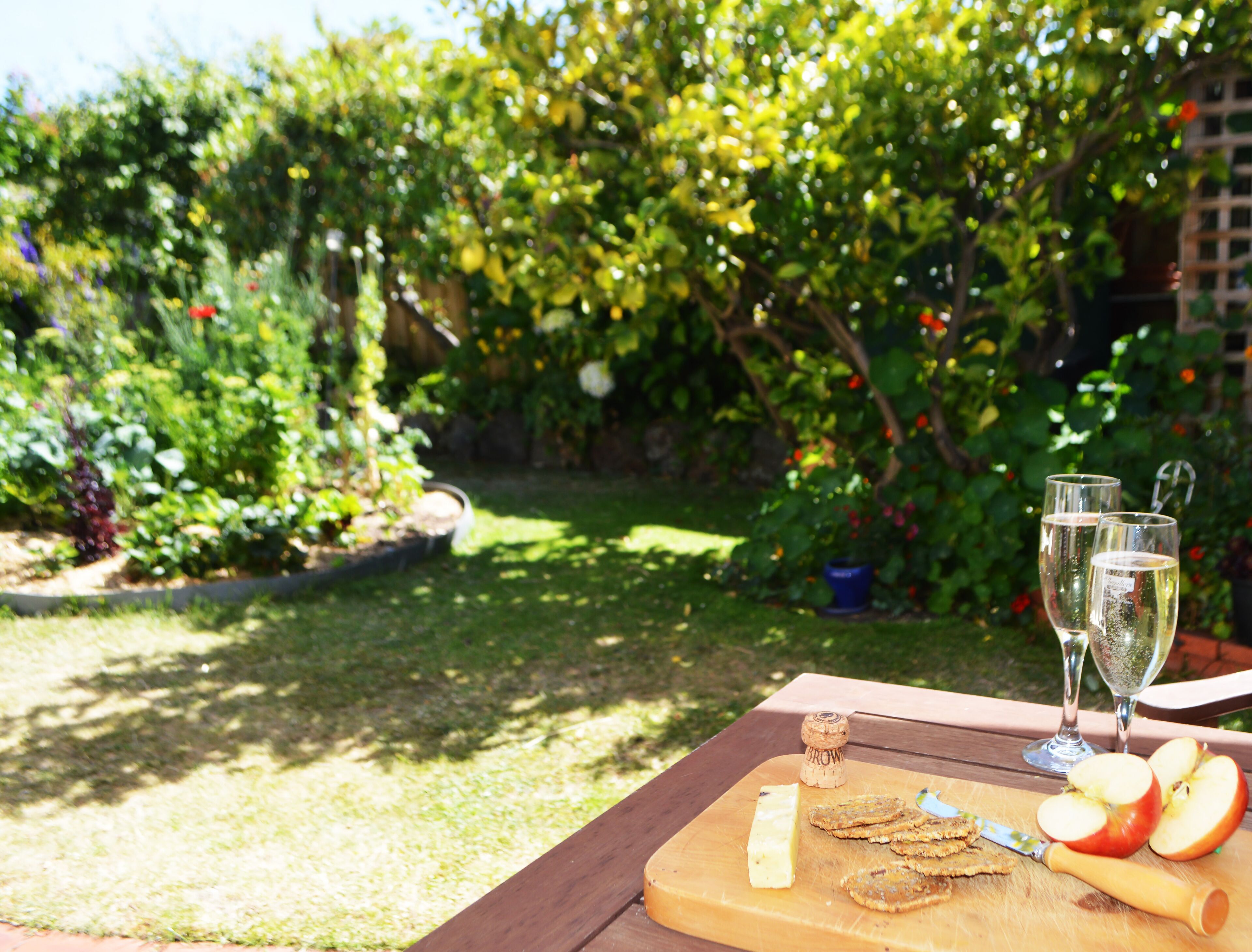 Cosy garden apartment in Sandy Bay. 15 min 401/402 town bus.  FREE Parking/WIFI. — image 24