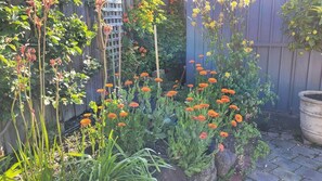 Ein Garten mit unterschiedlichen Pflanzen und Blumen, einem Holzzaun und einem Blumentopf.