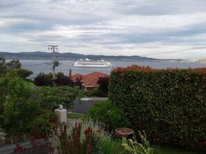 Property grounds - Cosy garden apartment in Sandy Bay.  FREE Parking/WIFI. (Sandy Bay)