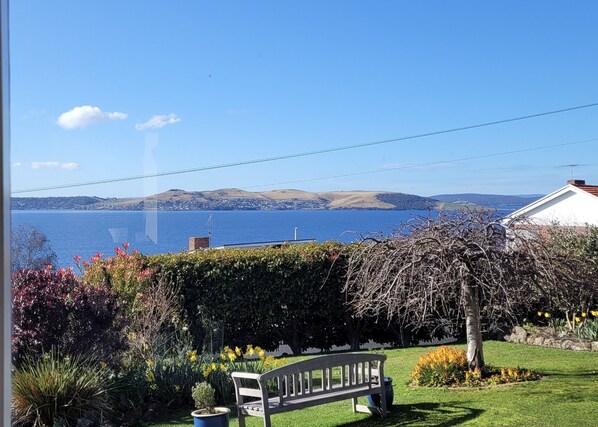 Property grounds - Cosy garden apartment in Sandy Bay. 15 min 401/402 town bus. FREE Parking/WIFI. (Sandy Bay)