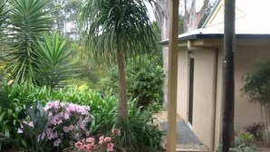 Een tuin met diverse planten en een houten terras.