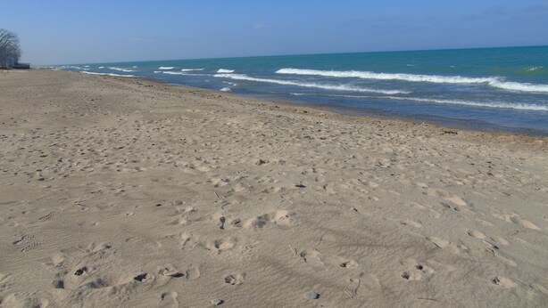 Uma praia arenosa com pegadas e ondas.