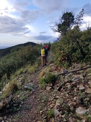 Exterior - Rustic House in Midtown, 2 bdrms,  near Riverpark, Dog Friendly fenced Yard (Tucson)