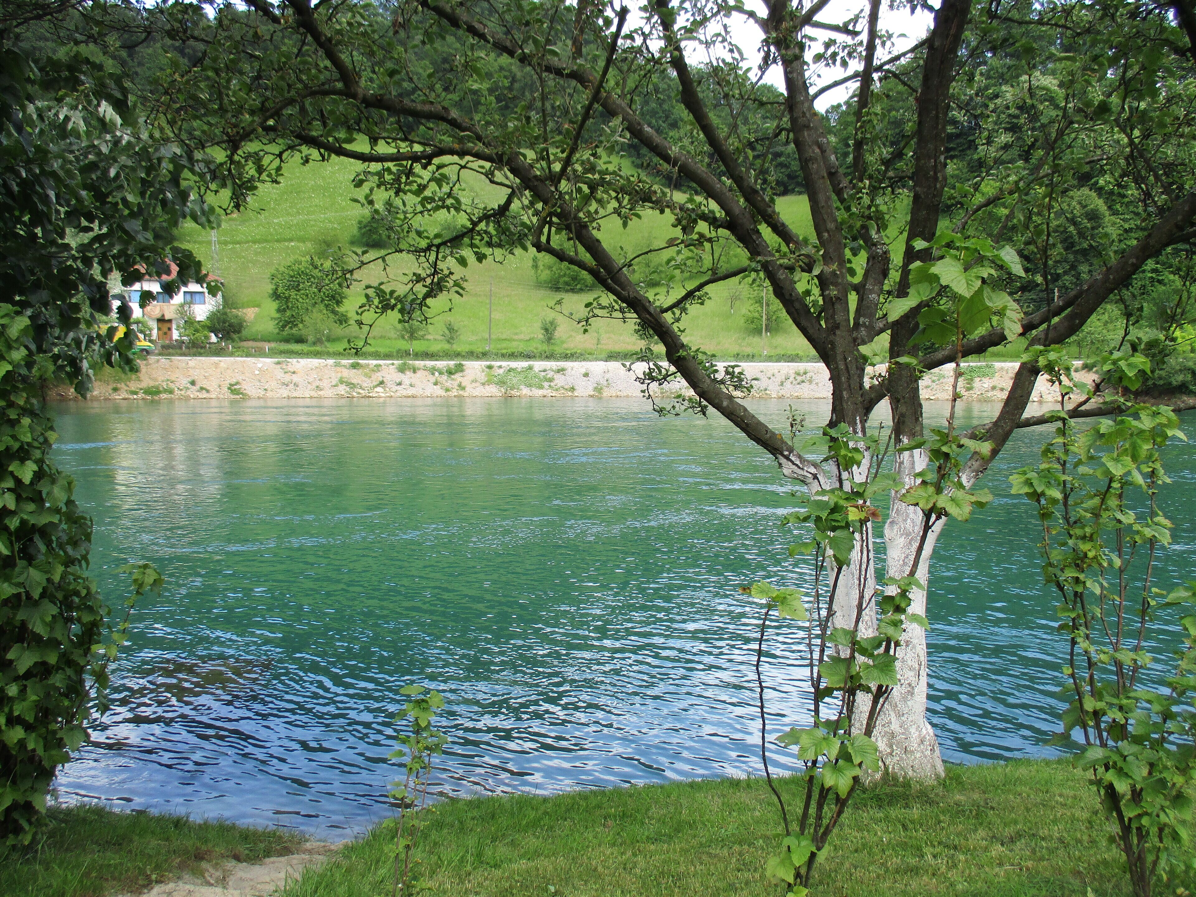 Eine friedliche Flusslandschaft mit einem Baum im Vordergrund, einer grasbewachsenen Uferbank und einem Gebäude in der Ferne mit Personen.
