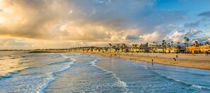 Playa en los alrededores, camastros y toallas de playa 