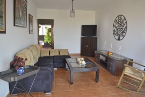 Smart TV, chimenea y libros