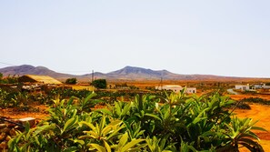 Exterior - Casa Abuelita Ana (The Plains of the Conception) (Llanos de la Concepción)