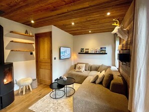 Smart TV, fireplace, DVD player, books