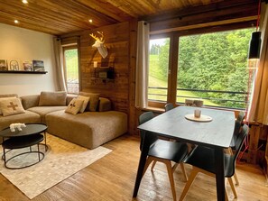 Smart TV, fireplace, DVD player, books