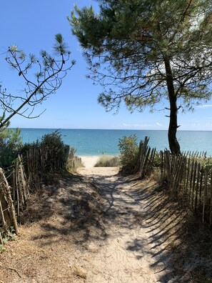 Plage à proximité, serviettes de plage