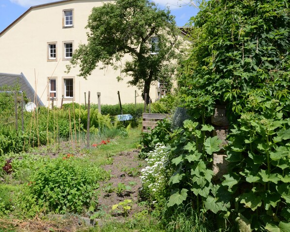 A garden with various plants and a building in the background. - Enjoy holiday with ambiance (Königstein)